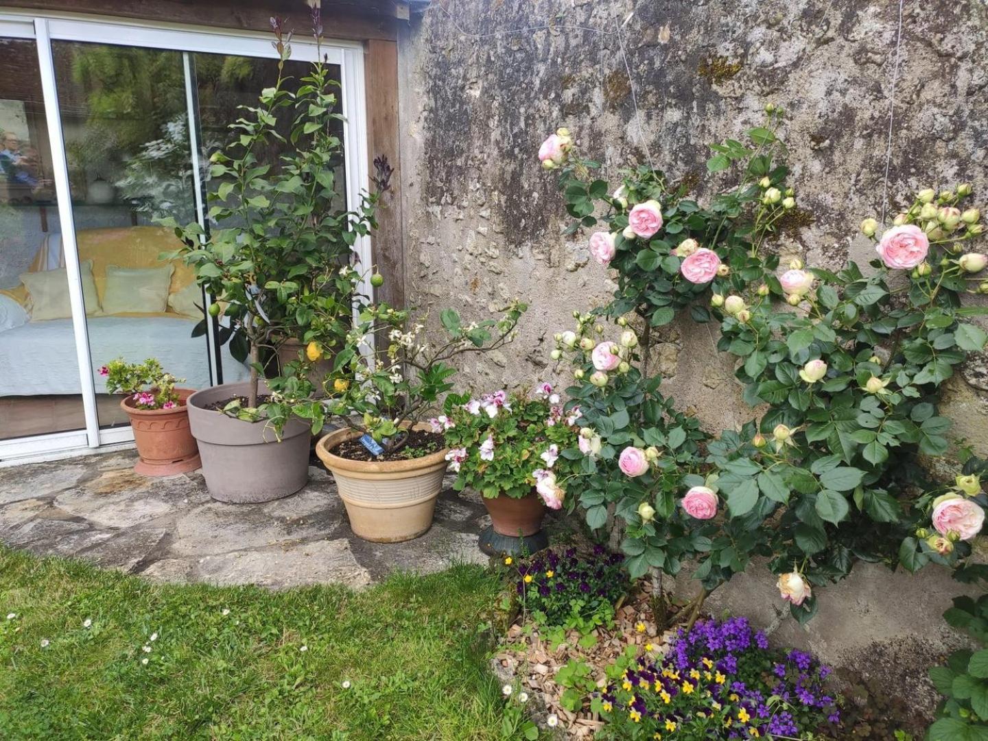 Le Relais De L'Ormeau - Charmant Gite Pour 4 Pers. Lussault-sur-Loire Εξωτερικό φωτογραφία