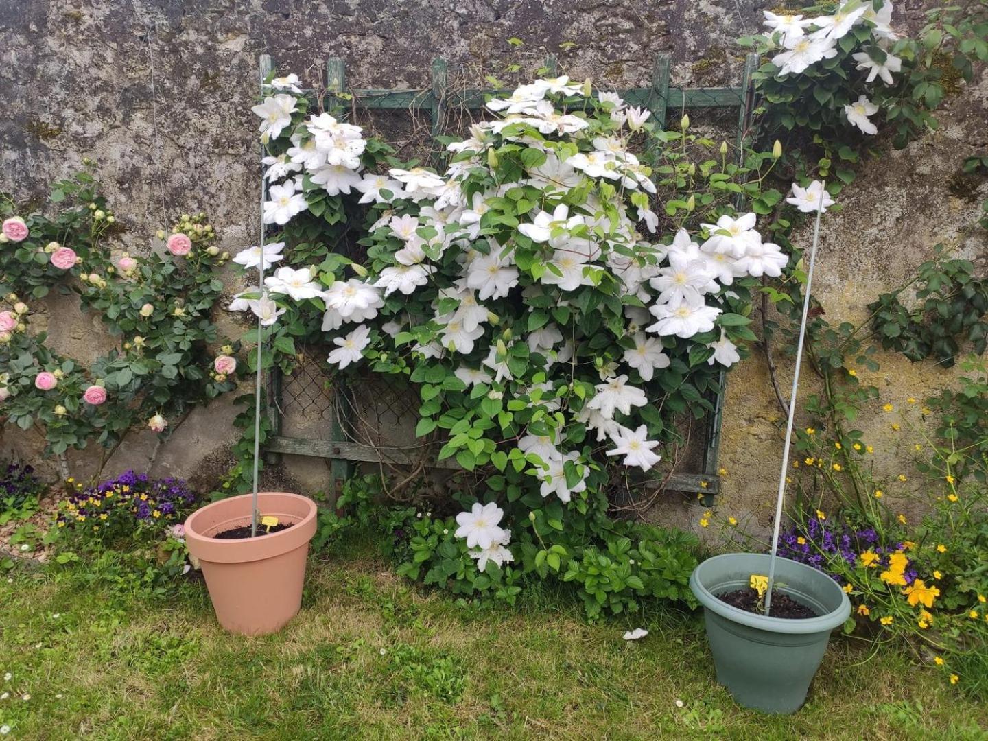 Le Relais De L'Ormeau - Charmant Gite Pour 4 Pers. Lussault-sur-Loire Εξωτερικό φωτογραφία